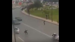 VIDÉO : Un homme perturbe le cortège royal et se jette sur la voiture du roi Mohammed VI