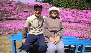 Sa femme devenue aveugle, il crée un “jardin de bonheur” pour elle (VIDÉO)