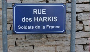 Pas moins de 55 000 Algériens ont demandé la carte de harki à la France
