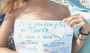 Abattage de chiens: La Tunisie dans le collimateur des défenseurs des animaux