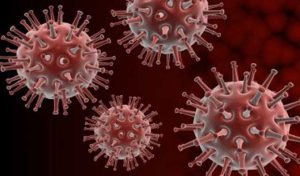 JO-2016: La grippe A (H1N1) a fait 1003 morts au Brésil en 2016