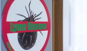 Connaissez-vous la maladie de Lyme ?