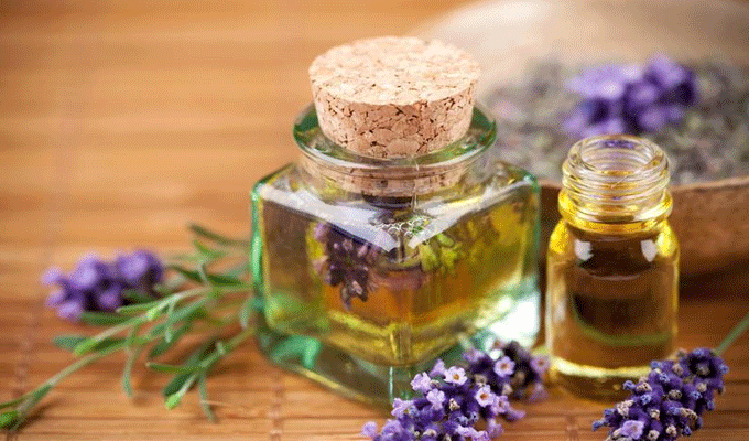 L’huile essentielle de lavande: L’ennemi des moustiques