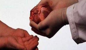 Scandale en Égypte : une femme tente de droguer son propre fils pour vendre ses organes !