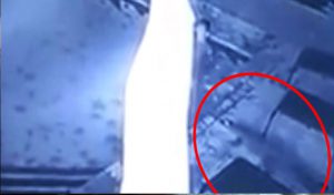 Zimbabwe : Un couple attaqué dans leur piscine d’hôtel par un crocodile ! (VIDEO)