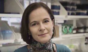 Dr Yasmine Belkaid, Prix Sanofi – Institut Pasteur 2016 (Immunologie)