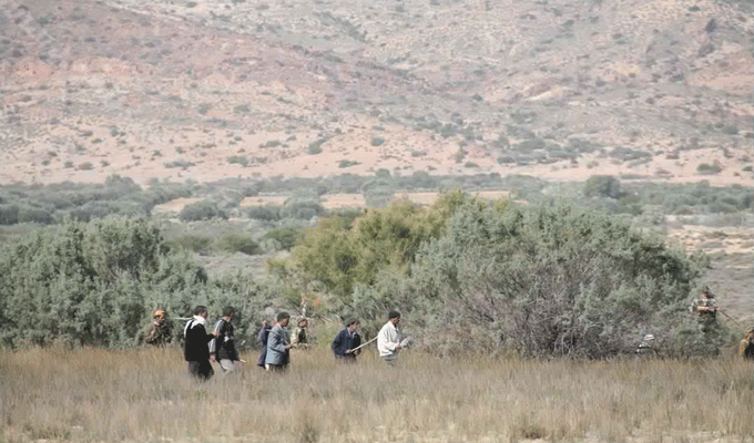 Tunisie : Interdiction de la chasse le jour du référendum