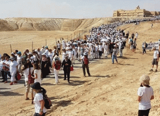 Women Wage Peace : une marche apolitique pour la paix en Palestine