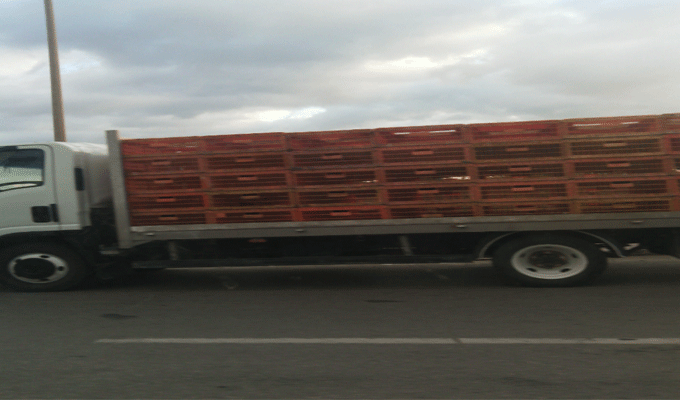 Exclusif : Des vendeurs de volailles manifestent sur la route de Moncef Bey