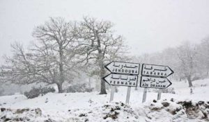 Tunisie – Jendouba : l’accès à Ain Draham fermé à cause de la neige