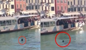 Italie : Il se noie devant l’indifférence des touristes (VIDEO)