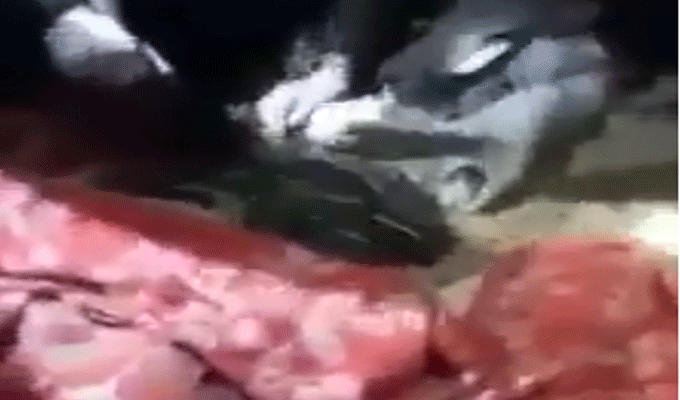 Vidéo : Arrestation de délinquants accusés d’avoir égorgé et mutilé le corps d’un jeune