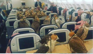 Un prince saoudien achète 80 places d’avion pour ses faucons !