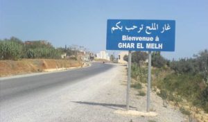 Ghar El Melh se veut une ville Ramsar en 2018