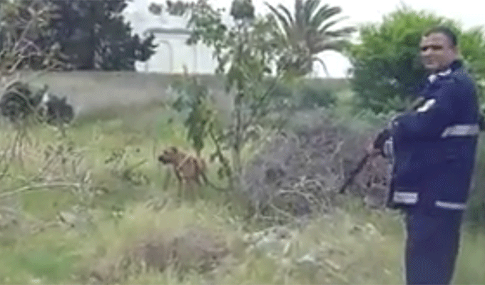 Vidéo choc : Les agents de la police municipale filment l’exécution en direct d’un chien