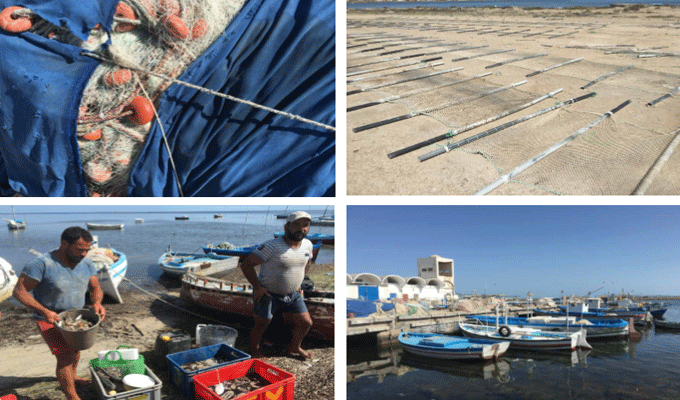 MATZA Kerkennah : La mer, un espace commun