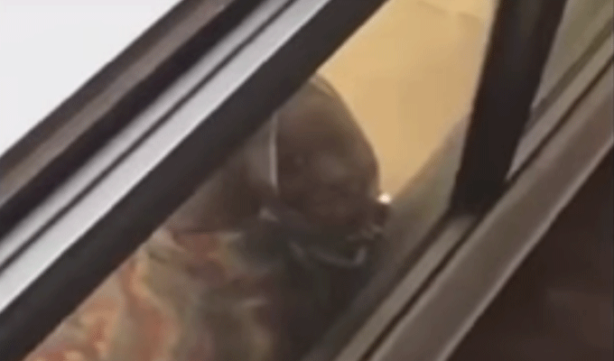 Koweït : Ouverture d’une enquête pour non assistance à personne en danger