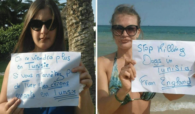 Stop Killing Dogs in Tunisia … la nouvelle campagne des internautes du monde, photos