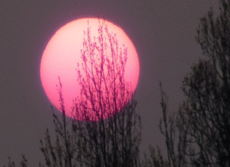 Éclipse totale de la Lune ce soir : quand et comment l’observer en Tunisie