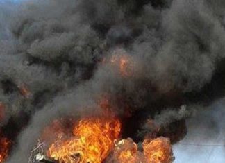 Forêt de Borj Kélibia : 4 hectares ravagés par le feu