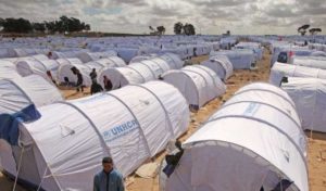 Un millier de réfugiés vivent en Tunisie