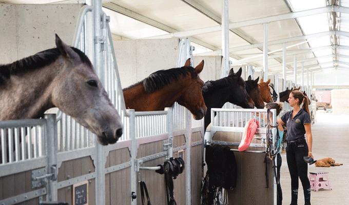 Kairouan : Elle vit dans l’écurie de sa grand-mère sous instruction de son père, médecin