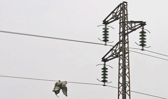 Tunisie : Un citoyen heurté par un poteau électrique