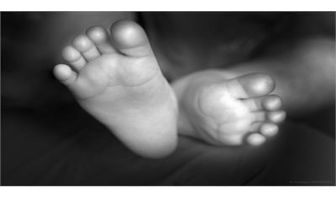 Hommage à une grande plume, Mohamed Ali Habachi