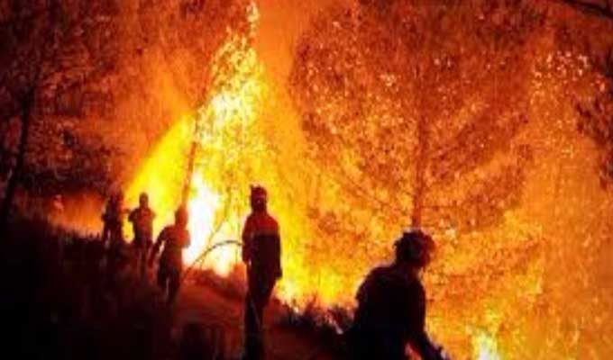 Incendie à Haffouz : 10 hectares de végétation détruits