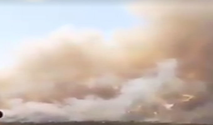 Bizerte : Deux incendies ravagent les forêts de Sejnane, vidéo