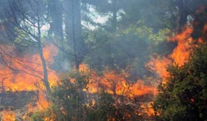 Tunisie – Siliana : Poursuite des efforts d’extinction des incendies à Djebel Bargou