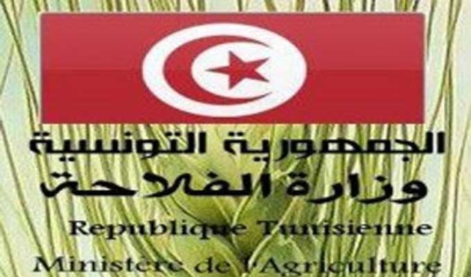 Tunisie: Un numéro vert pour signaler les abus et les violations ciblant les richesses naturelles