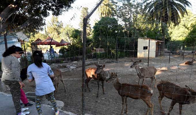 Tunisie: De nouvelles espèces d’animaux au zoo du Bélvédère