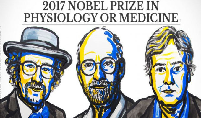 USA : Un trio de chercheurs américains reçoit le prix Nobel de médecine