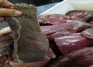 Tunis : Découverte de 26 tonnes de viande d’âne avariée infectée d’un virus mortel, vidéo