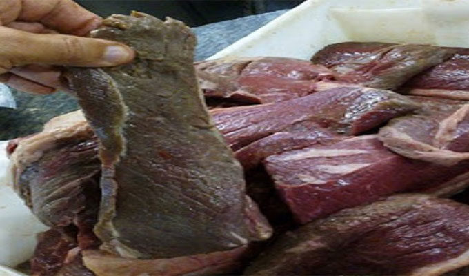 Bizerte : Les services de contrôle enquêtent sur des quantités de viande avariée jetée dans des bennes à ordures