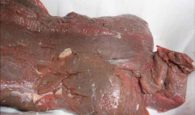 Gafsa : Saisie de 32 kg de viande avariée
