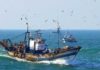 Nabeul : Un marin pêcheur secouru au large de Kélibia