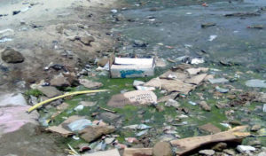 Opération de nettoyage à Raoued : près de 860 tonnes de déchets évacuées
