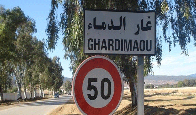 Tunisie: Saisie de plusieurs animaux importés clandestinement d’Algérie