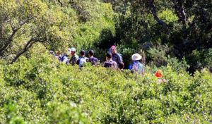 Tunisie : Les gardes nationaux retrouvent 54 randonneurs perdus en montagne