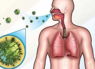 Ministère de la Santé : Aucun cas de choléra