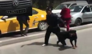 Tunisie : Des universitaires agressés par un inconnus armé d’une pelle et d’un chien devant le ministère
