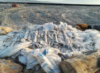 Tunisie : lancement d’une campagne de nettoyage sur les plages de Tunis, Bizerte, Sousse et Nabeul