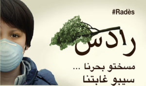 Tunisie : Une pétition lancée contre la destruction de la forêt de Radès