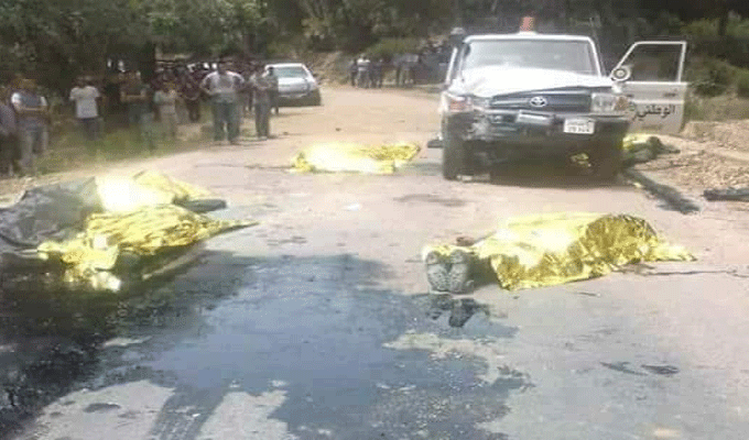Attaque terroriste à Ain Soltane : La Ligue des Etats arabes affirme l’entière solidarité des pays arabes avec la Tunisie