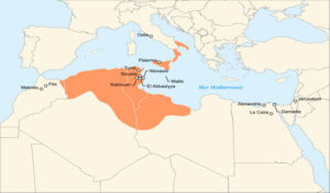 Islamisme : De Kairouan, on appelle aux Croisades contre le peuple tunisien