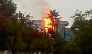 Tunisie  – Lac 1 : La foudre incendie un arbre