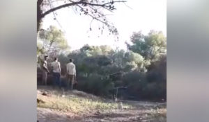 Tunisie : Le massacre continue dans la forêt de Gammarth face au silence des responsables