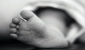 Horreur à Hammamet : un nouveau-né retrouvé mort dans une poubelle